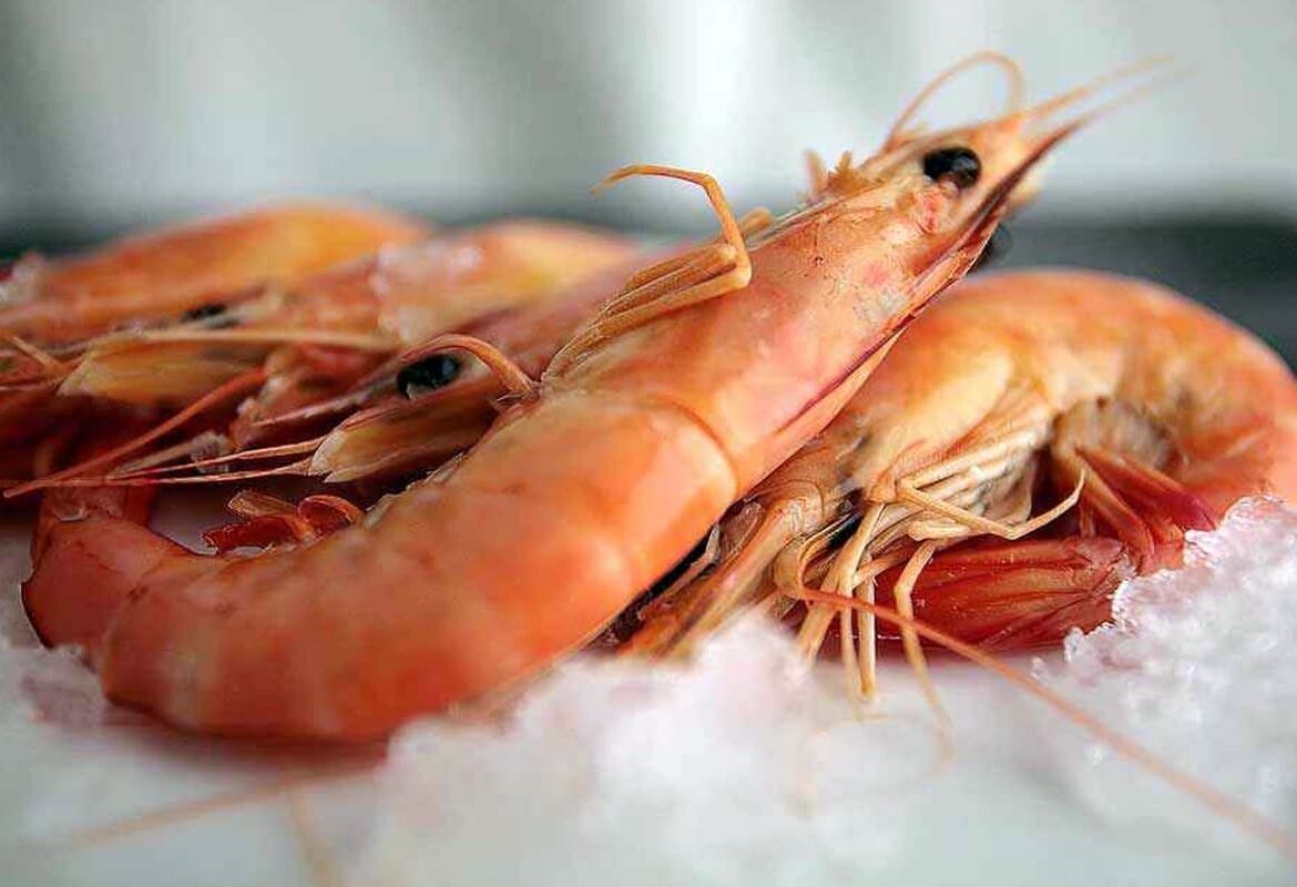 Where do you eat the best seafood in Galicia?